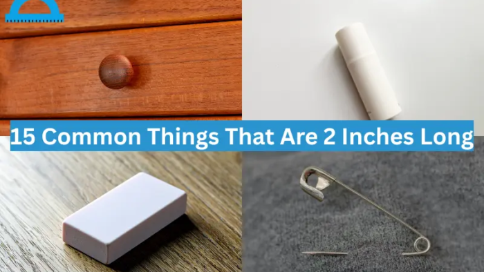 how long is 2 inches
