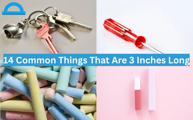 how long is 3 inches