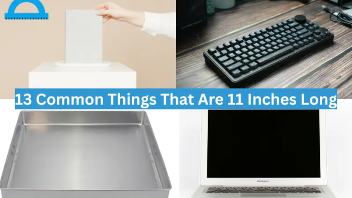 how long is 11 inches