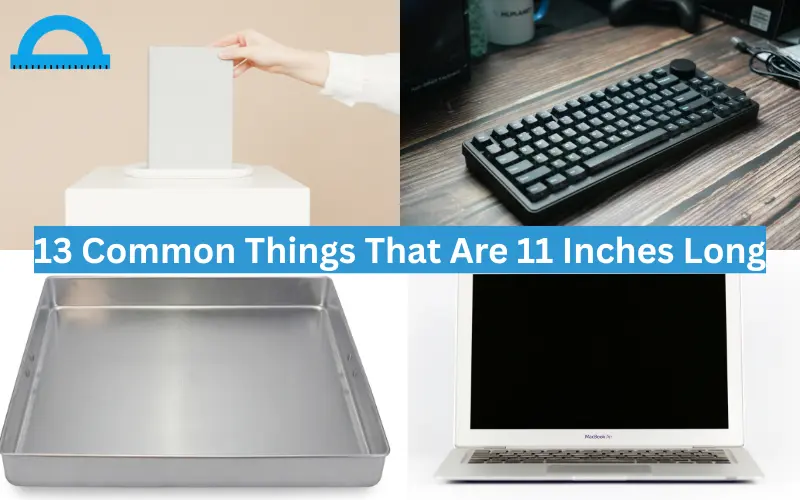 how long is 11 inches