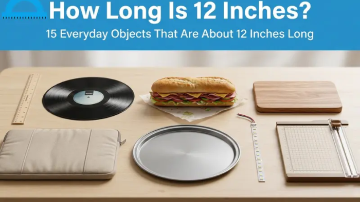 how long is 12 inches
