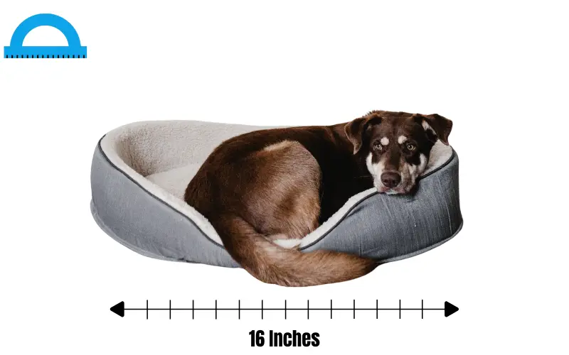 how long is 16 inches
