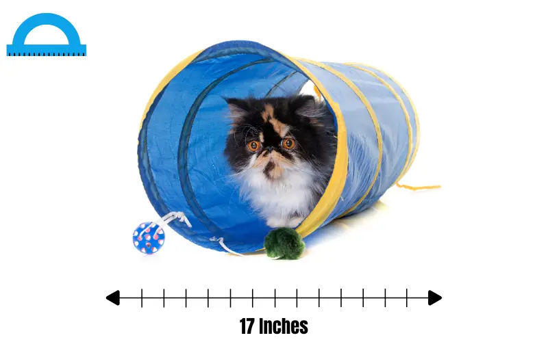 how long is 17 inches