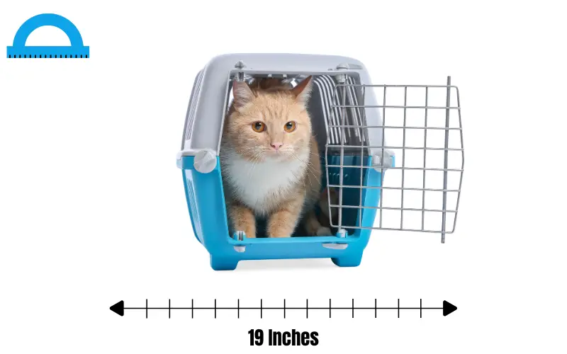 how long is 19 inches