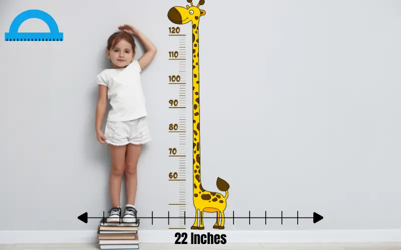 how long is 22 inches