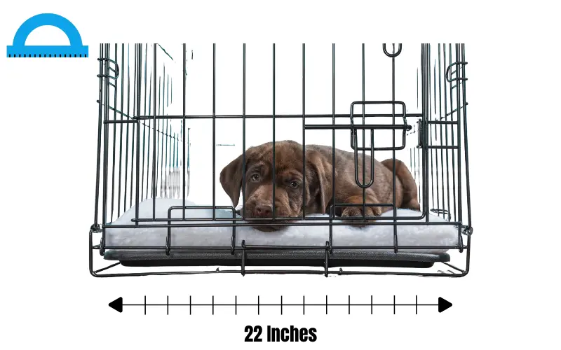 how long is 22 inches