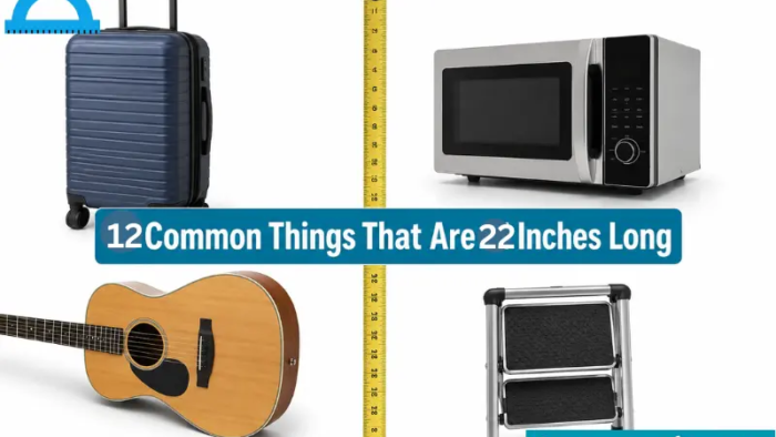 how long is 22 inches
