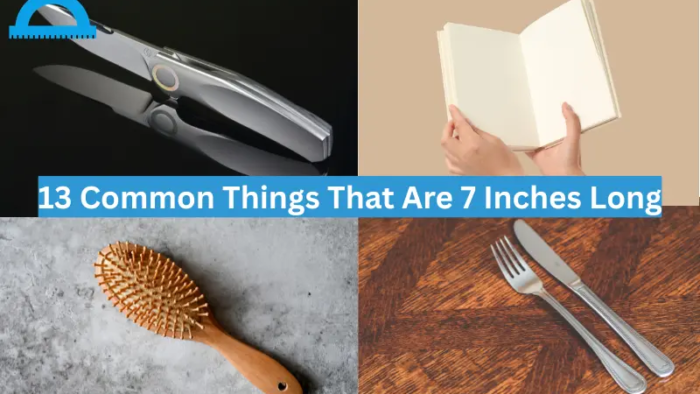 how long is 7 inches