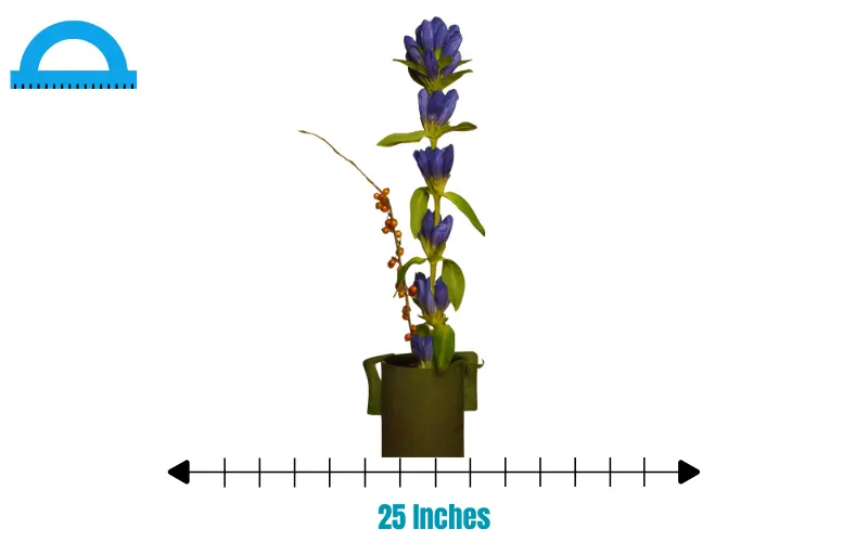 how long is 25 inches