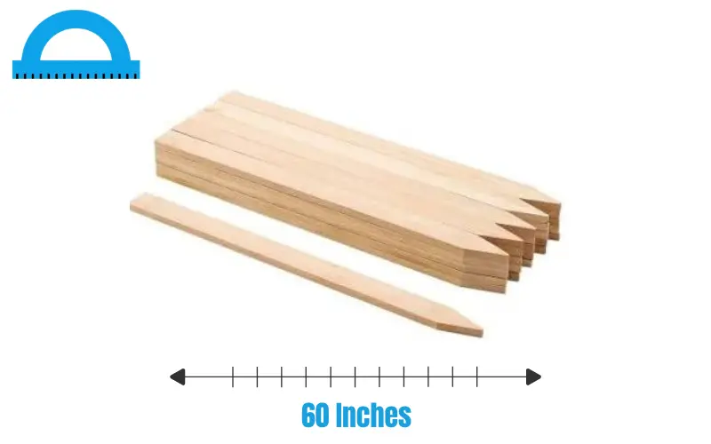 How Long Is 60 Inches