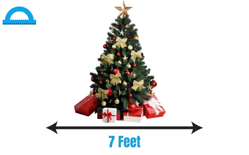 How Long Is 7 Feet