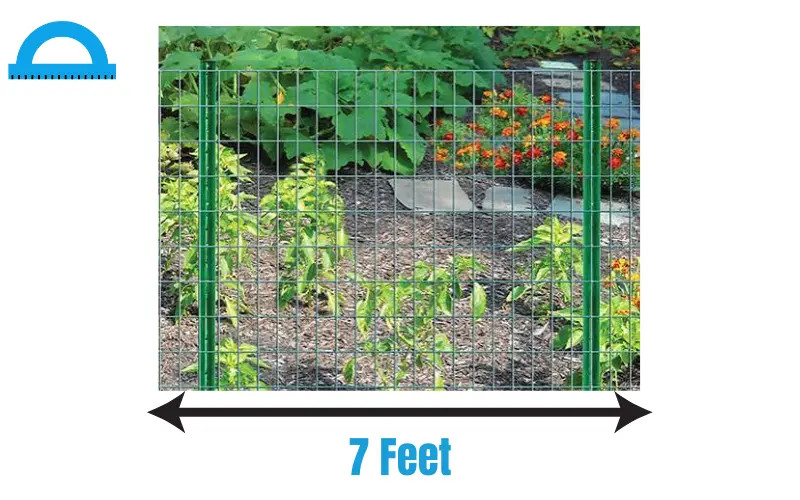 How Long Is 7 Feet