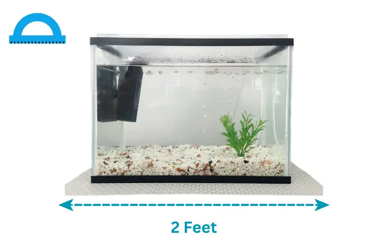 how long is 2 feet