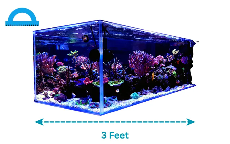 how long is 3 feet