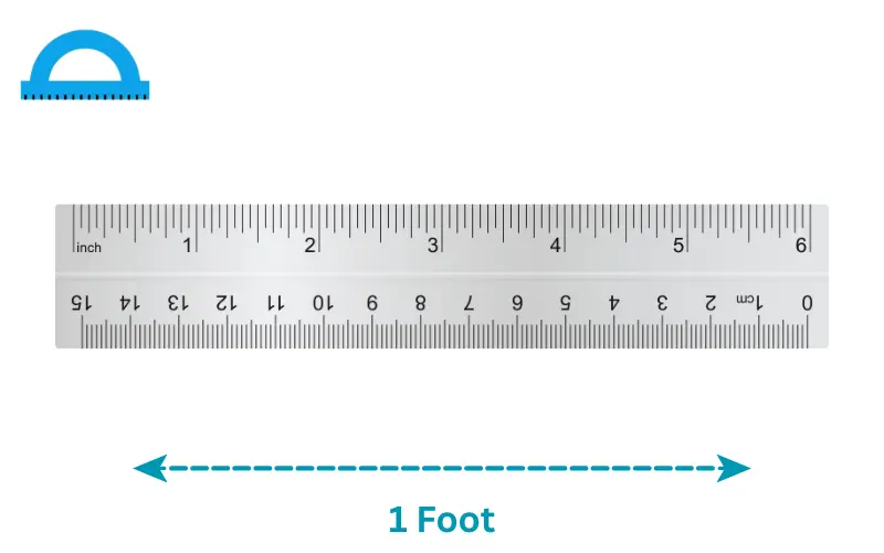 how long is a foot