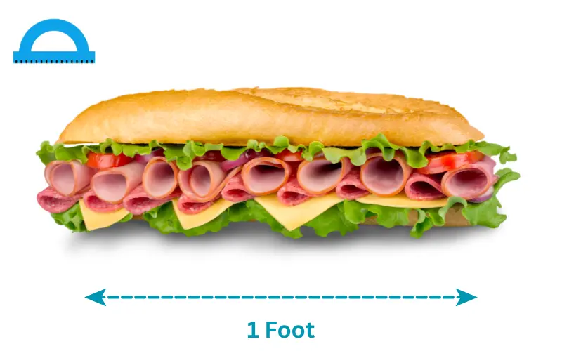 how long is a foot