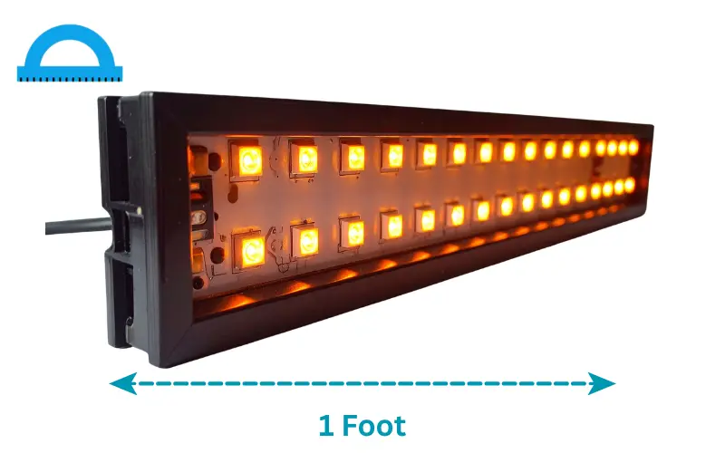 how long is a foot