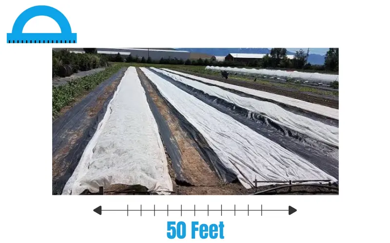 How Long Is 50 Feet