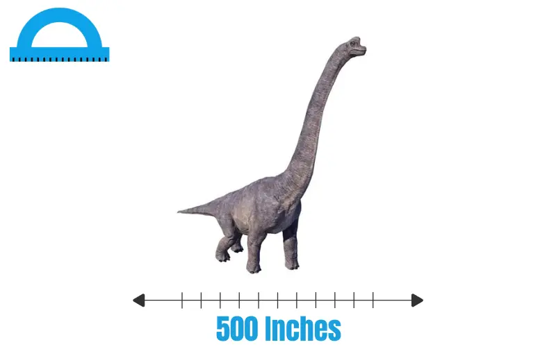How Long Is 500 Inches