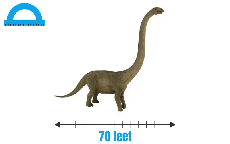 How Long Is 70 feet