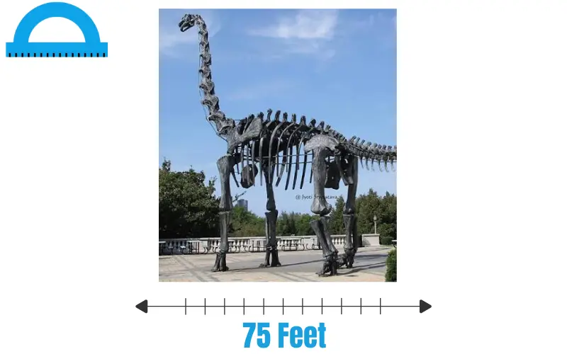 How Long Is 75 Feet