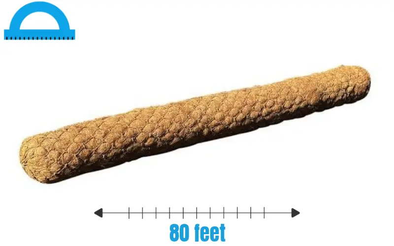 How Long Is 80 feet